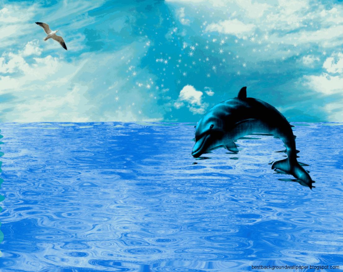 Moving Ocean Wallpapers and Background  Into the blue  Pinterest