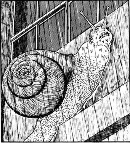 дзюндзи ито манга девочка улитка. спираль дзюндзи ито улитка. спираль дзюндзи ито улитка. девочка улитка дзюндзи ито. дзюндзи ито спираль.