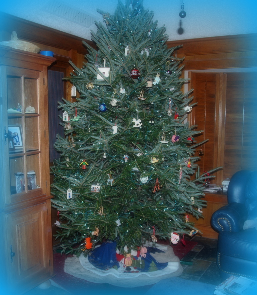 Older but better...? Christmas Tree...