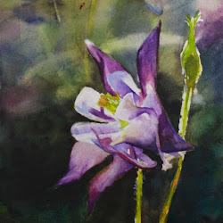 watercolor sue painting daily