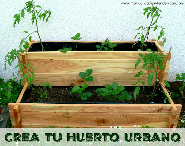 Tutorial para hacer un huerto urbano en mesa de cultivo