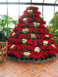 Islandscapes: Foellinger Freimann Botanical Conservatory