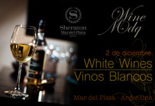 Tasting de Vinos Blancos 2017
