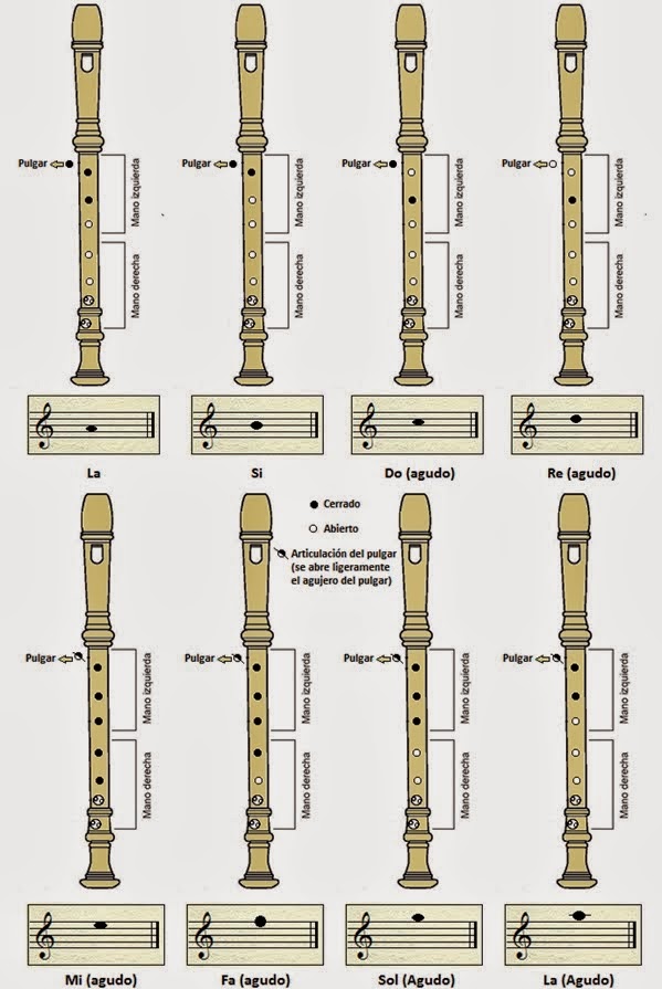 MuSikAhp 9° FLAUTA DULCE SOPRANO PARTES Y POSICIONES