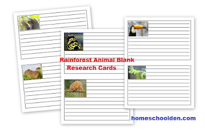 The Homeschool Den: Rain Forest Plants Activity