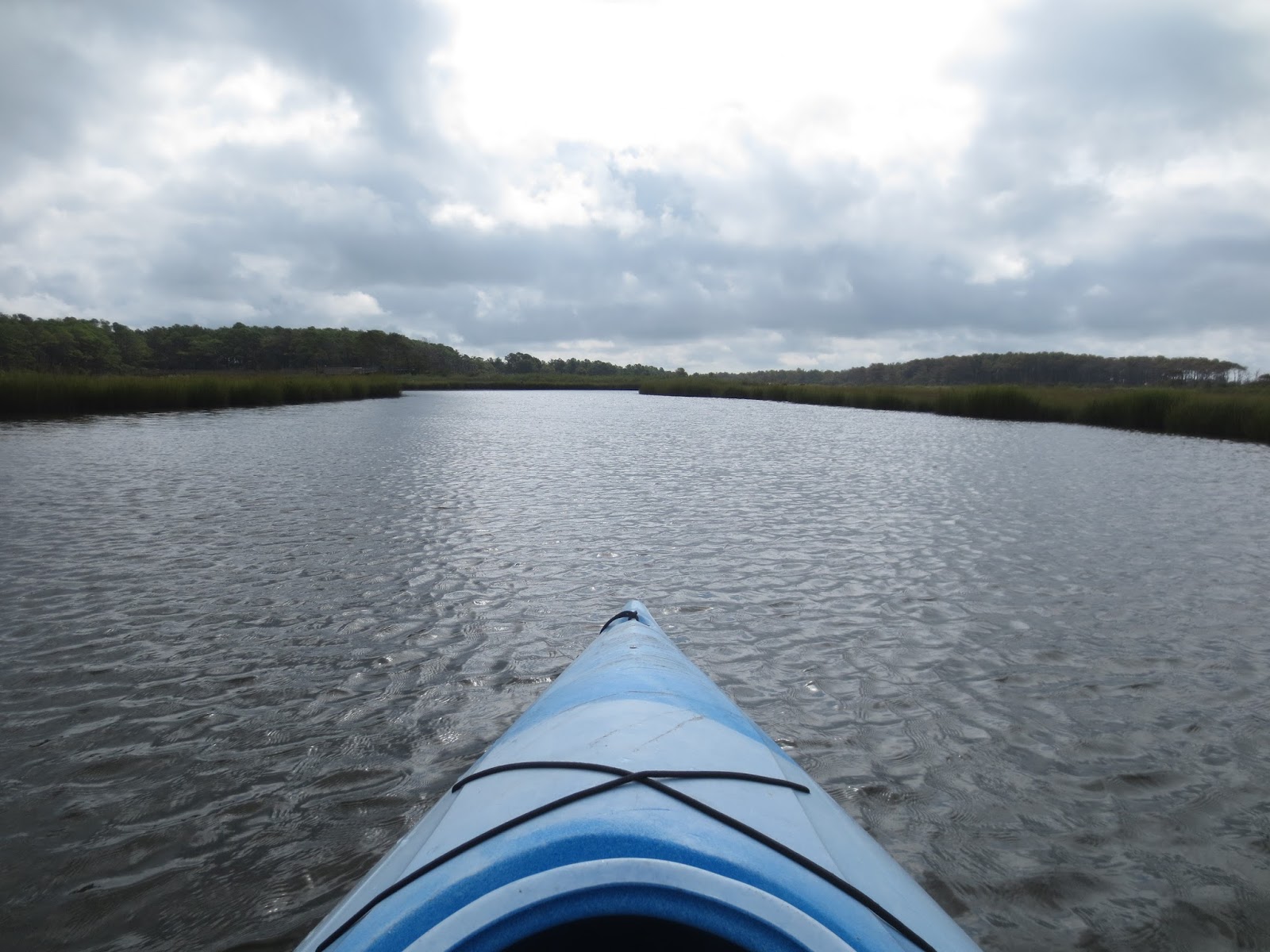 Book By Book Saturday Snapshot 10/29 Assateague Island Kayaking