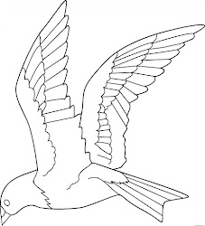 birds flying bird coloring drawing line clipart drawings pages clip parrot flight wings printable animal cage lions sweetclipart colorful raven