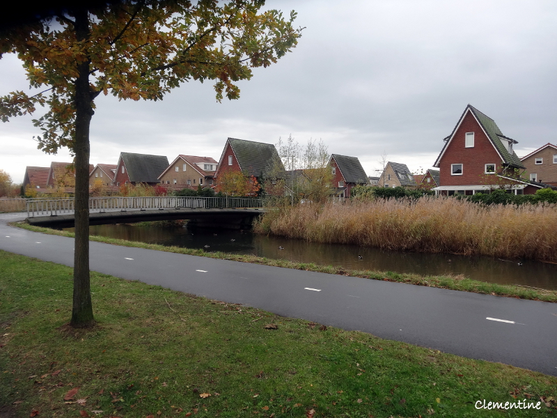 Comment S Appelle L Arbre Des Clémentines Le blog de Clementine: Arnhem quartier Schuytgraaf (Pays-Bas)