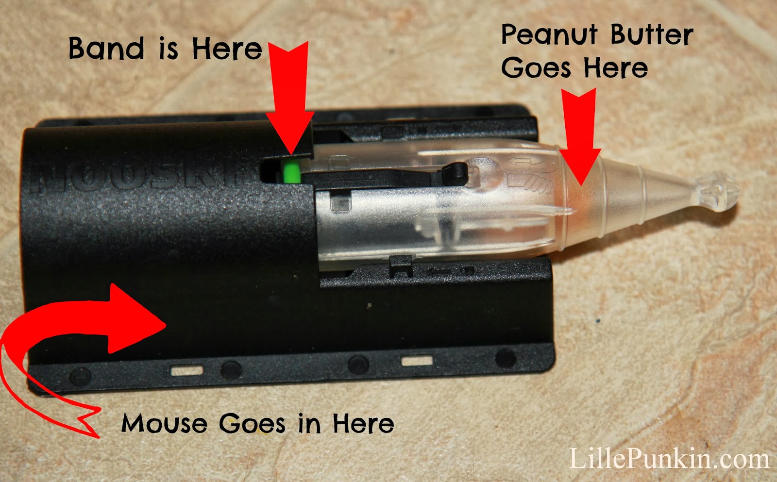 Review of the Nooski Mouse Trap