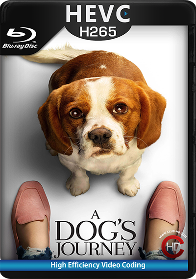 A Dog's Journey (2019) 1080p BDRip HEVC Dual Latino-Inglés [Subt. Esp] (Comedia. Cine Familiar)
