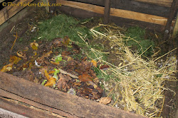 chicken litter method coops deep waste compost leaves management pile grass droppings straw clippings boxes chick behind nest should scraps