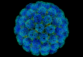 Materi Virus dan Bakteri (Rangkuman SBMPTN) - Omah Jenius