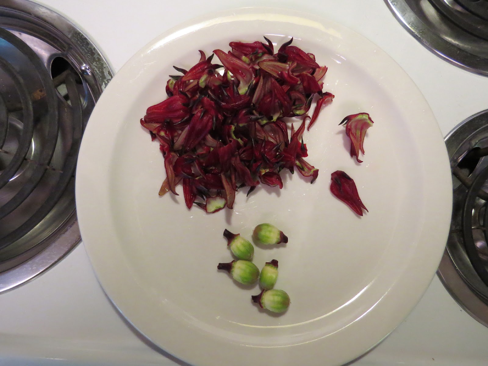 Edible Herbs, Flowers & Other Edibles Grow Your Own Dinner! Roselle