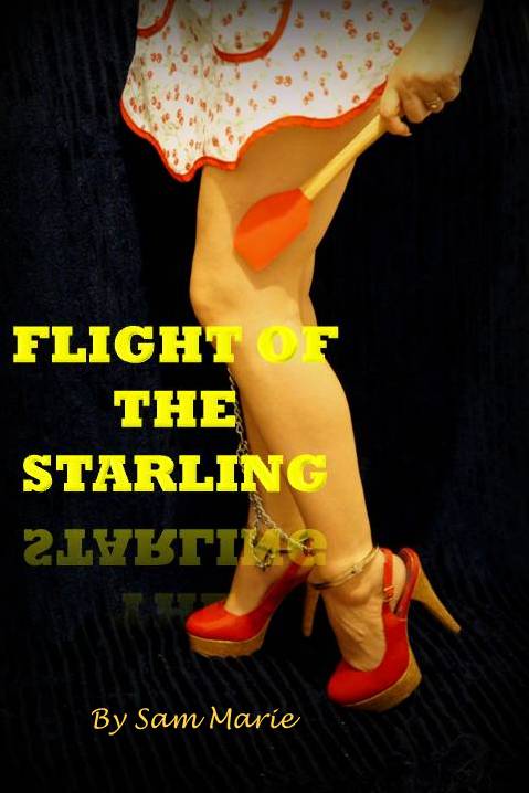 Flight of the Starling