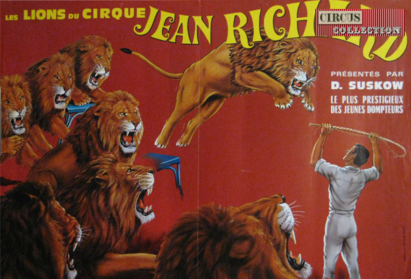 les lions du cirque Jean Richard présentés par Daniel Suskow le plus  prestigieux des jeunes dompteurs 