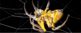 [Obrazek: bajka%2BVI%2B-%2B4%2Bx%2B320.jpg]