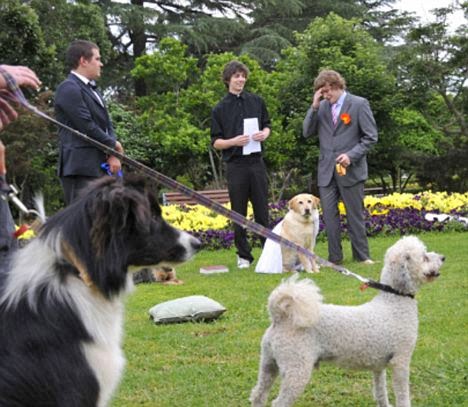 man weds dog 