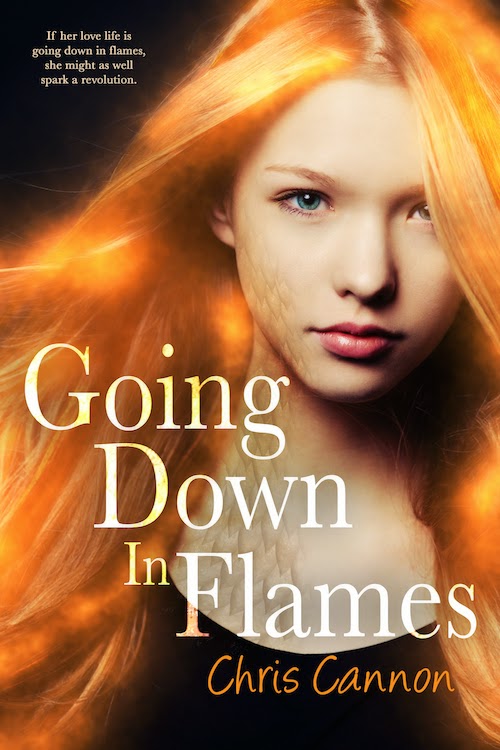 Going Down in Flames by Chris Cannon Going Down in Flames by Chris Cannon