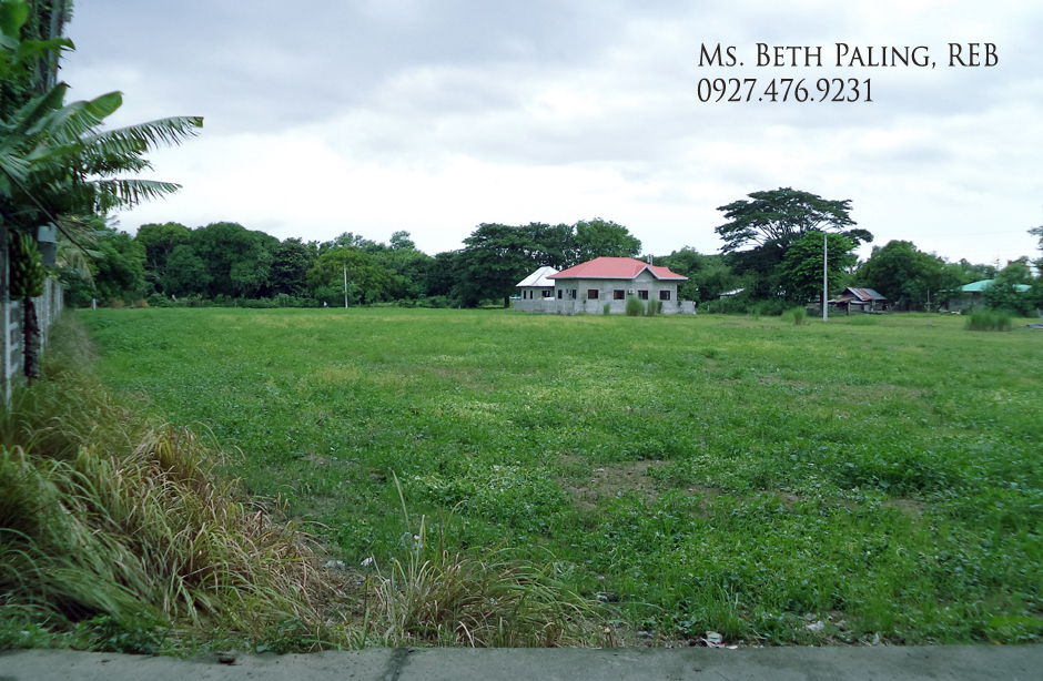 Pangasinan Properties Farm Lot in Villasis, Pangasinan