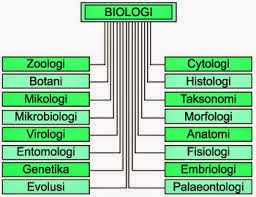 Cabang cabang ilmu biologi dengan penjelasan lengkap