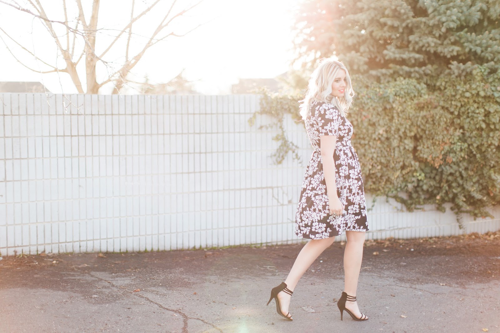 Modest Dress, Utah Fashion Blogger, Lularoe Beauty and Brains