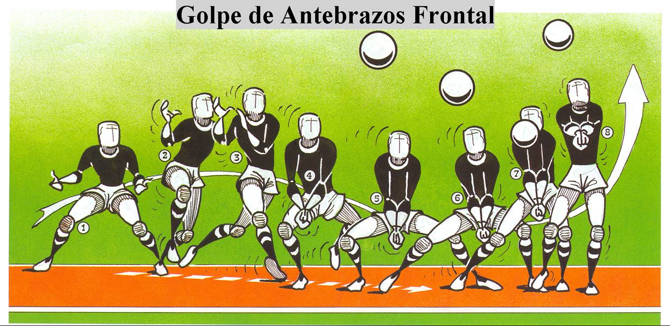 EDUCACION FISICA 1°M INSUCO TALCA Fases