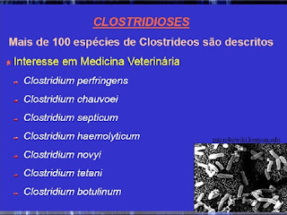 clostridioses 2 728