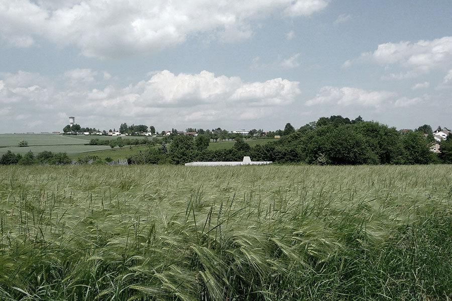 Einkommens Und Vermogensanrechnung Archive Nitsa E V