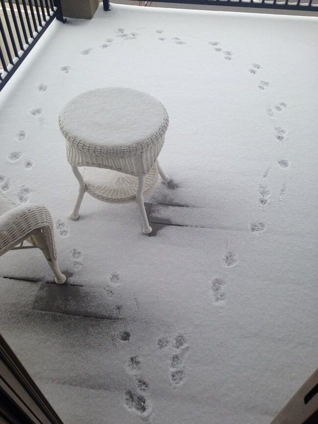 17 Pictures That Prove Winter Isn't For The Faint-Hearted