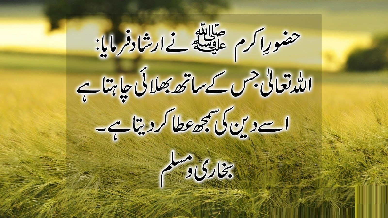 10 Urdu Quotes In English About Life | Inspiring Famous Quotes about