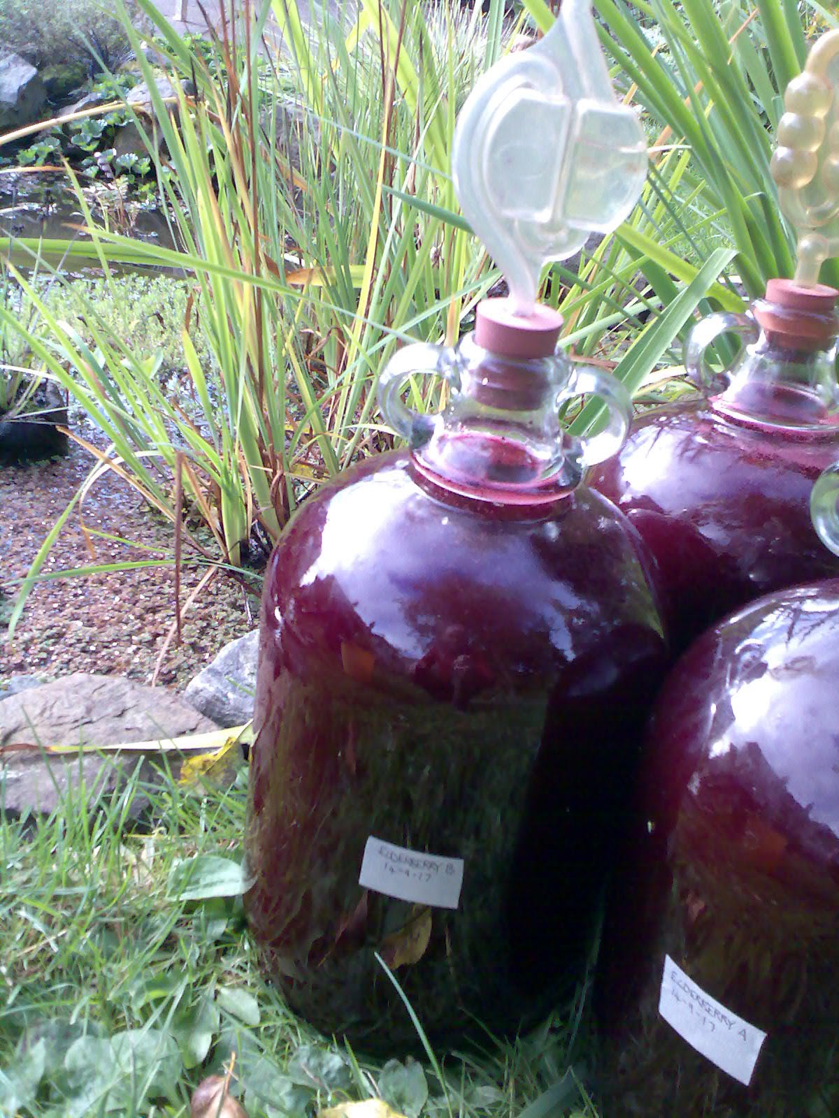 Ben's Adventures in Wine Making Elderberry Wine 2017 The Making Of...