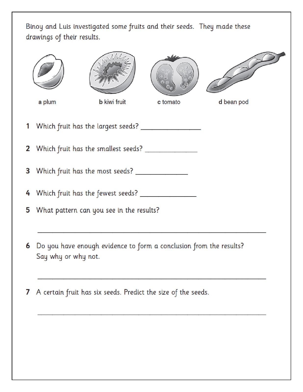 Creative holiday homework for class 1 maths image
