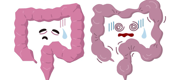 cómo desintoxicar el colon