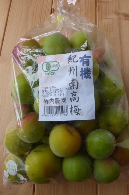 梅肉エキスを作りました 消化器の妙薬であり その他にも効能いろいろ 珍妙雑記帖