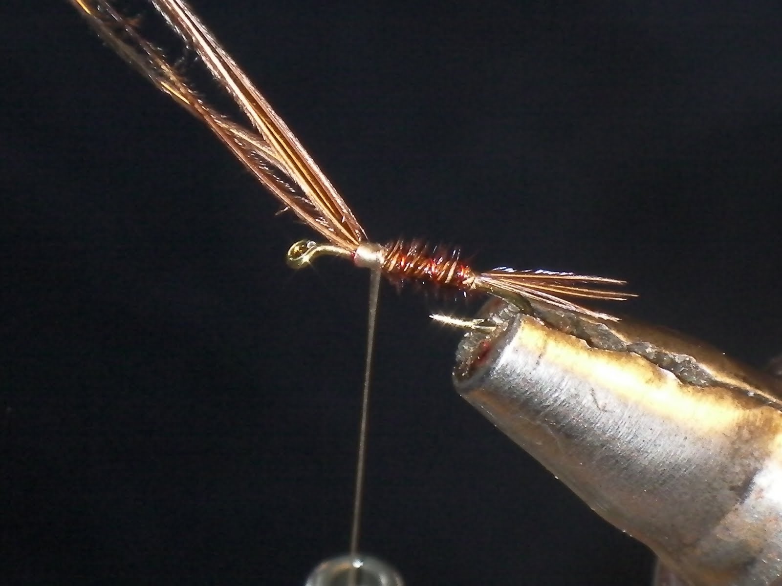 Fly Tying Videos: How to Tie Flies for Freshwater and Saltwater: How to ...