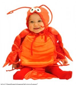 Crustacean baby