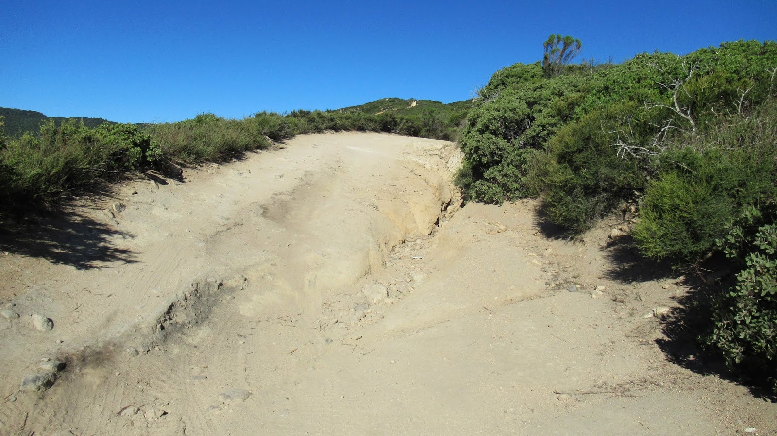 Iron Hiker Cleghorn Mountain