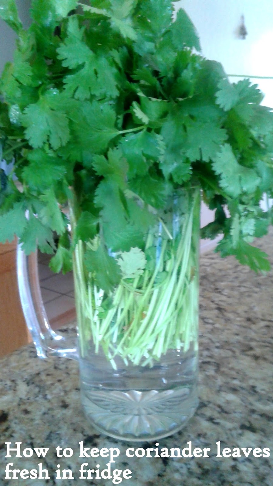 Sailaja Kitchen...A site for all food lovers! How to keep coriander