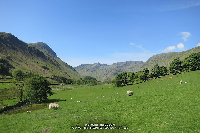 Striding Edge, Helvellyn, walk, hike, route, Patterdale, Glenriddig, Ullswater, Lake District