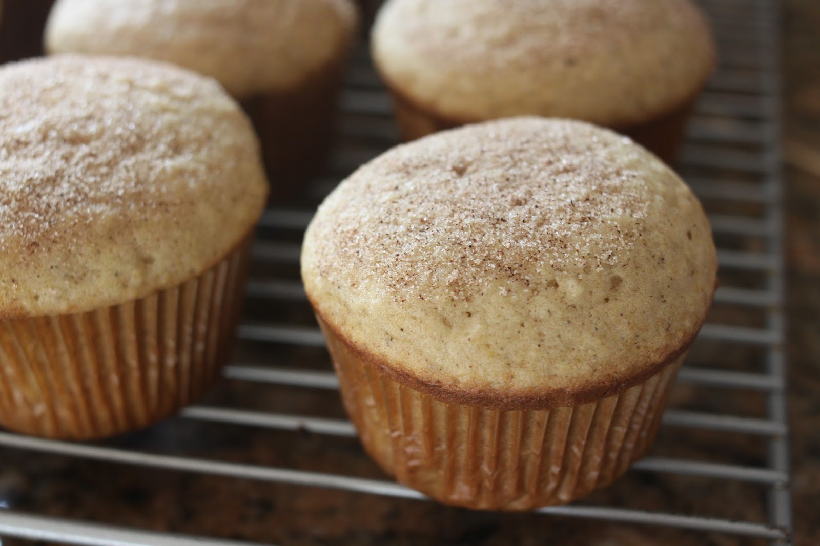 The Larson Lingo Cinnamon Sugar Applesauce Muffins