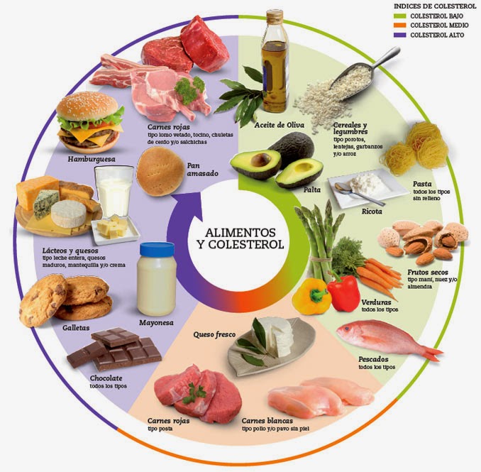 Obsesionados Con El Colesterol 1 Tipos De Colesterol Y De Pacientes Colesterol Bueno Colesterol Malo Y Riesgo Cardiovascular