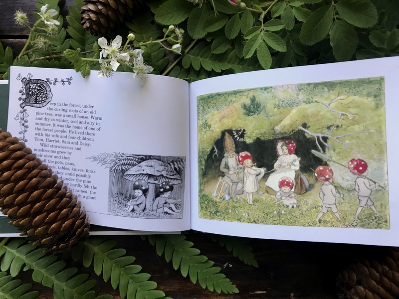 Books And Umbrellas Children Of The Forest By Elsa Beskow