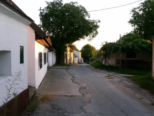 Wanderland Austria Eibesbrunn im Weinviertel