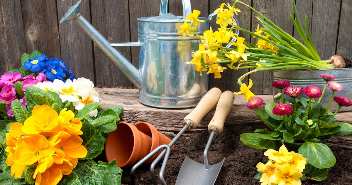 Larkfleet blog Things to do in the garden in February