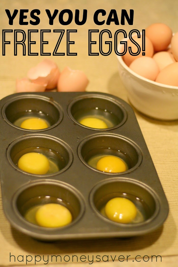 How to Freeze Eggs and Save Money