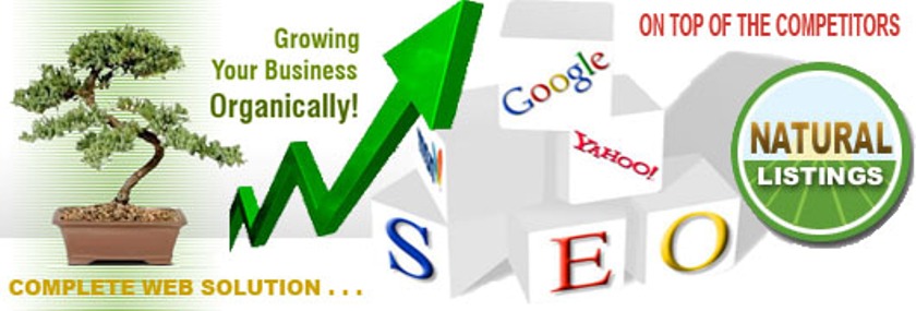 Seo Services And Information