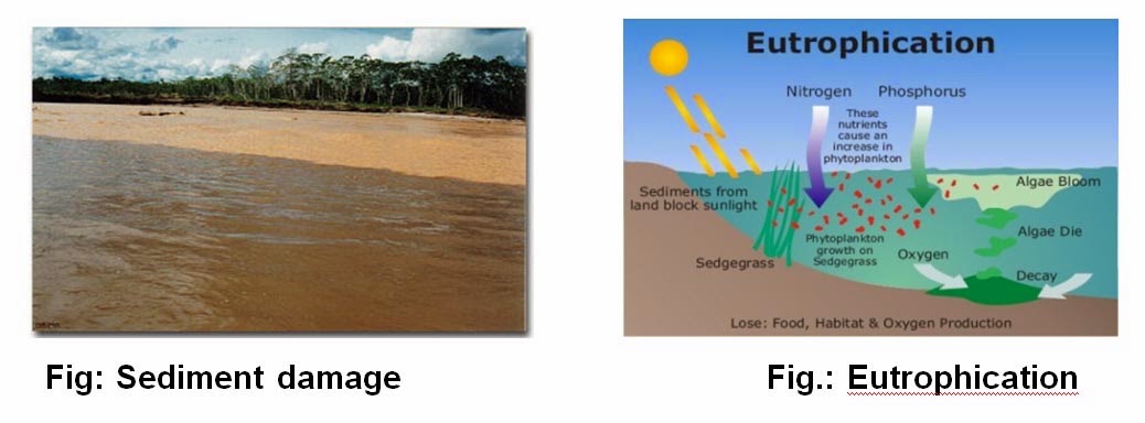 what are the major factors of soil erosion