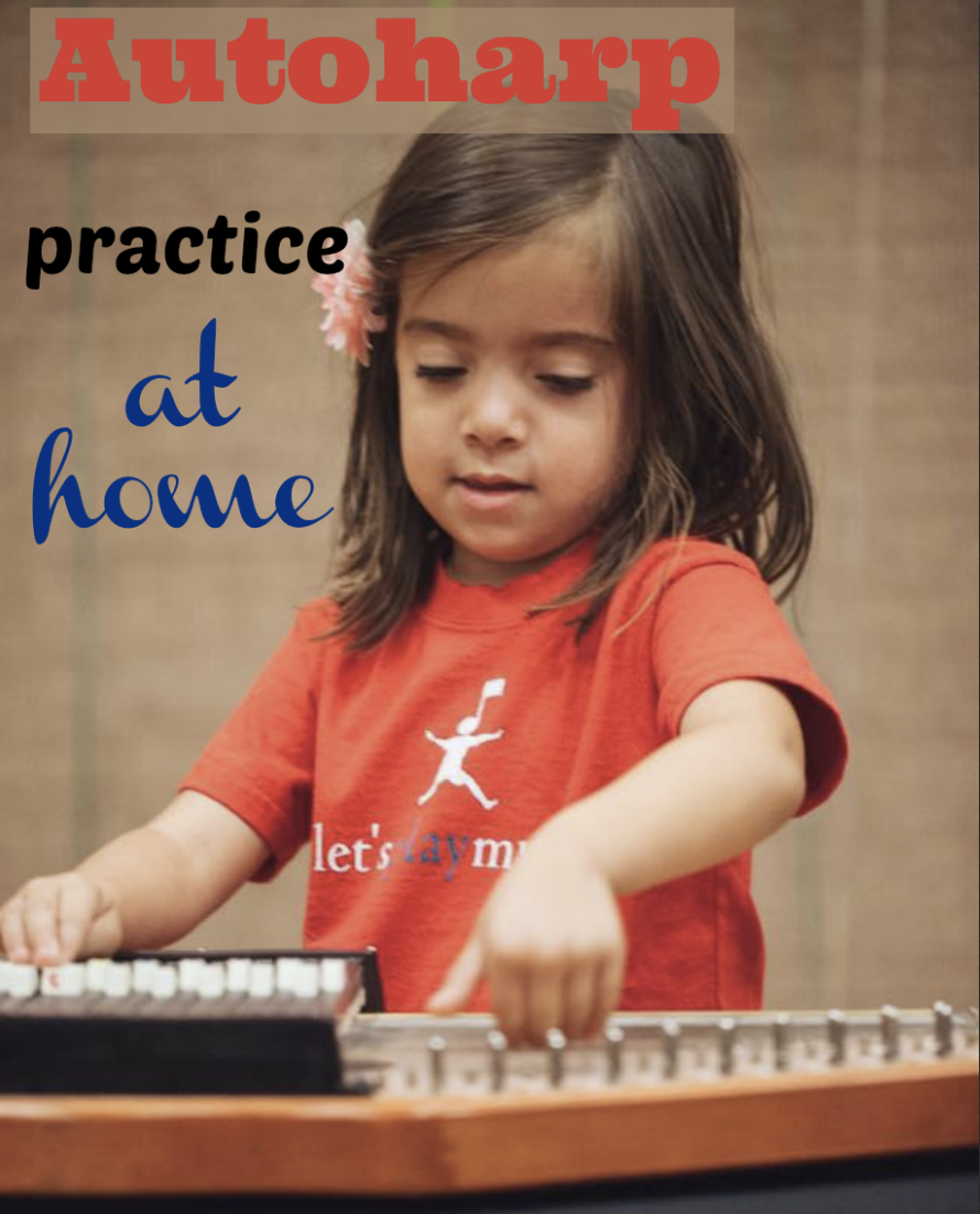 Making Musicians Practicing Autoharp at Home
