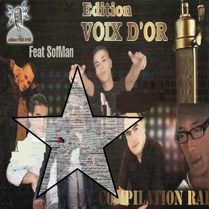 Compilation Raï Voix D'Or 2014