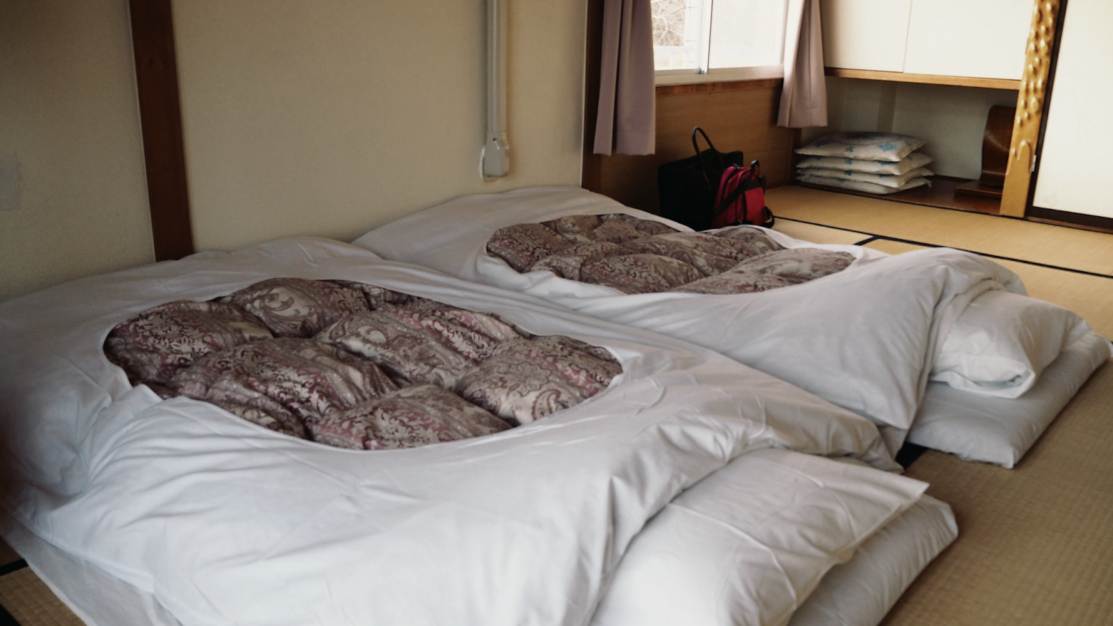 fbh fujisan hostel amysyeera